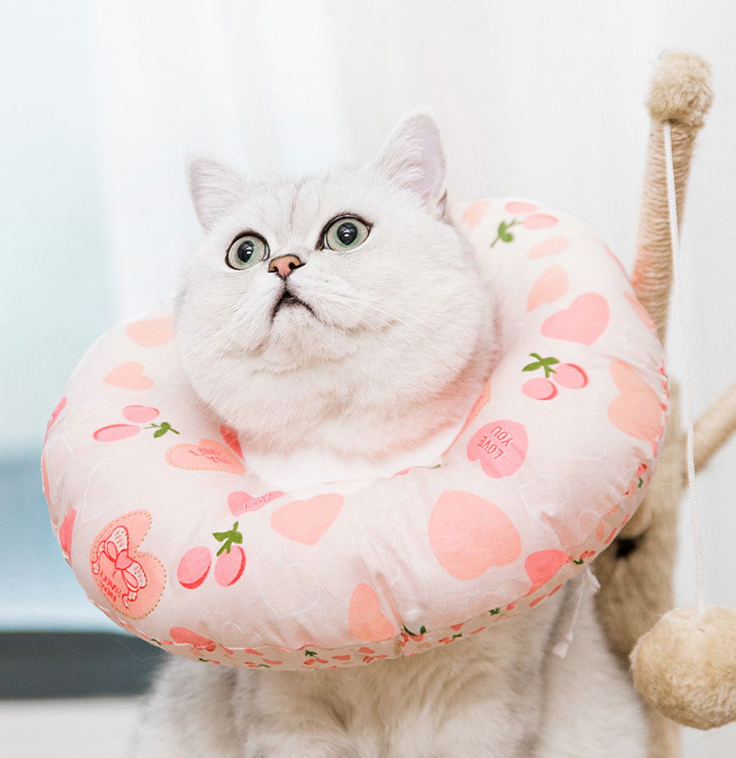 ペット用品 ペット用品