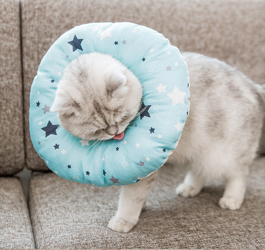 ペット用品 ペット用品