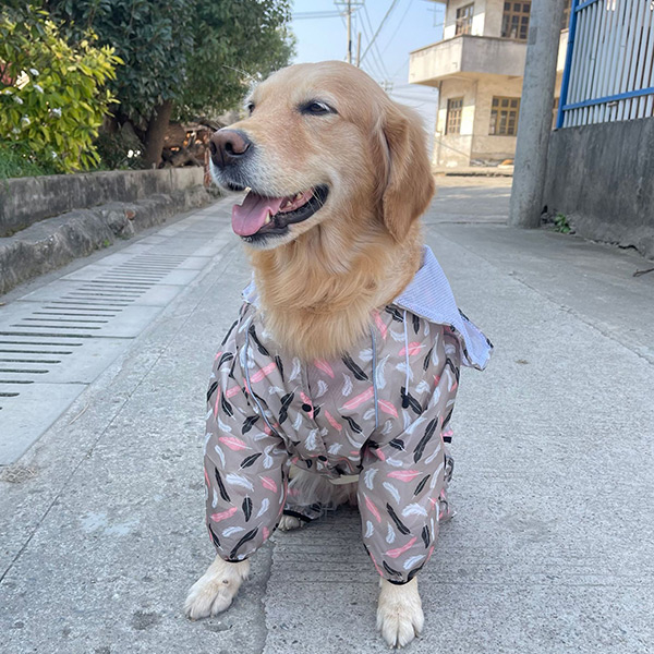 中型 大型 犬用 レインコート フード 防水 メッシュ 夏 散歩 梅 雨 具