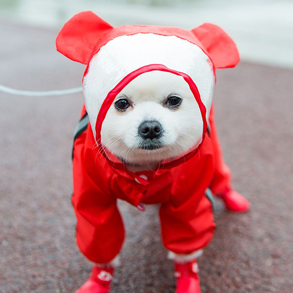 犬用 レインコート 小型犬 フード付き 透明 全3色 撥水 散歩 梅雨 反射テープ 雨具 カッパ 雨...