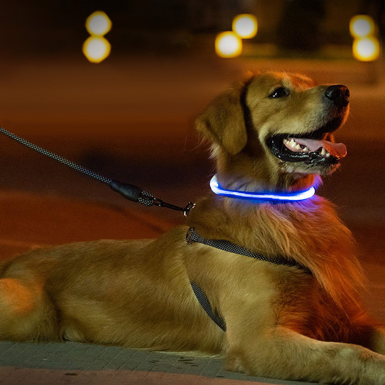 犬 猫 首輪 おしゃれ かわいい 光る ライト カラー 白 USB 充電コード 2点セット 小型犬 中型犬 大型犬｜mobilebatteryampere｜19