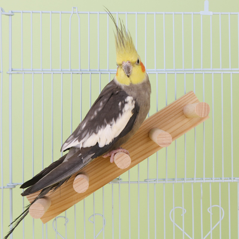 インコ 鳥 止まり木 階段 小鳥 ペットグッズ 鳥用品 ケージ 固定可能