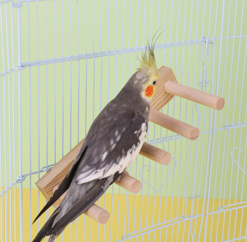 インコ 鳥 止まり木 階段 小鳥 ペットグッズ 鳥用品 ケージ 固定可能