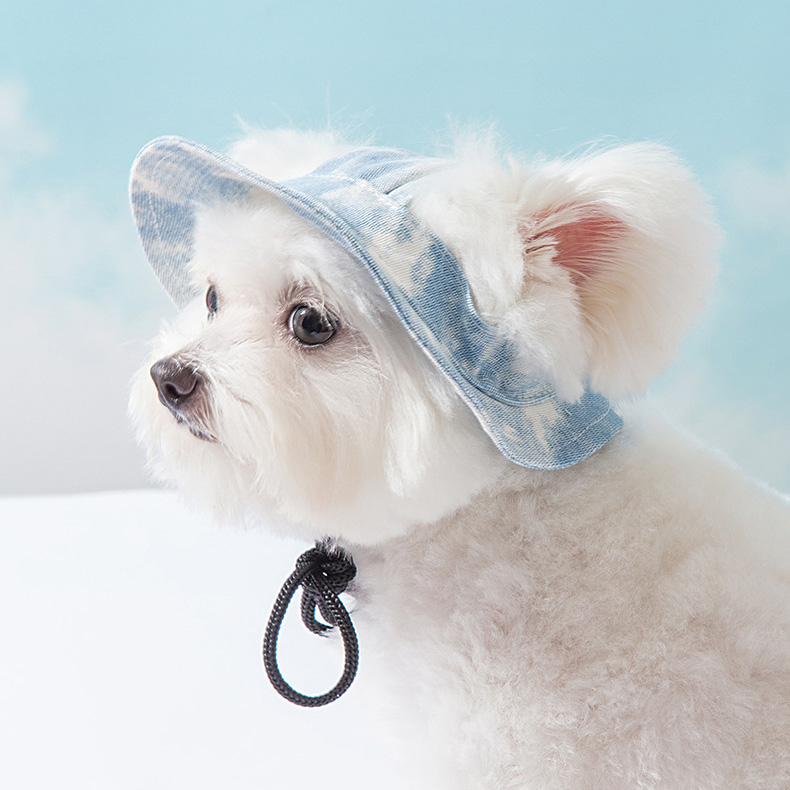ペット 犬 ワンちゃん 帽子 バケットハット ツバ ペット用品 小型犬