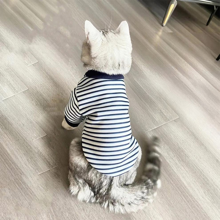  猫 服