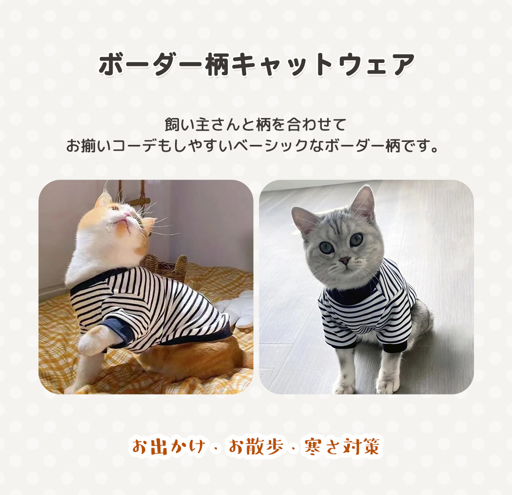  猫 服