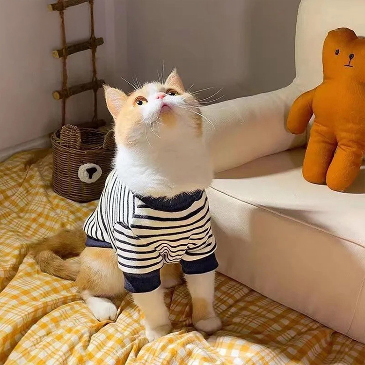  猫 服