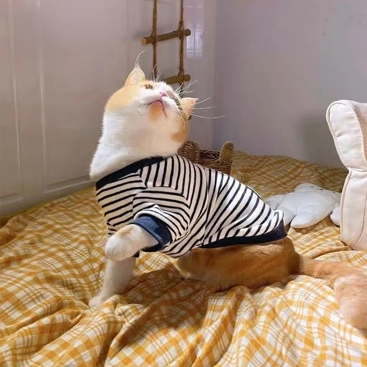  猫 服