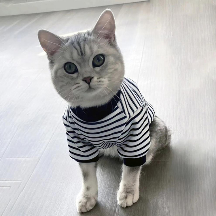  猫 服