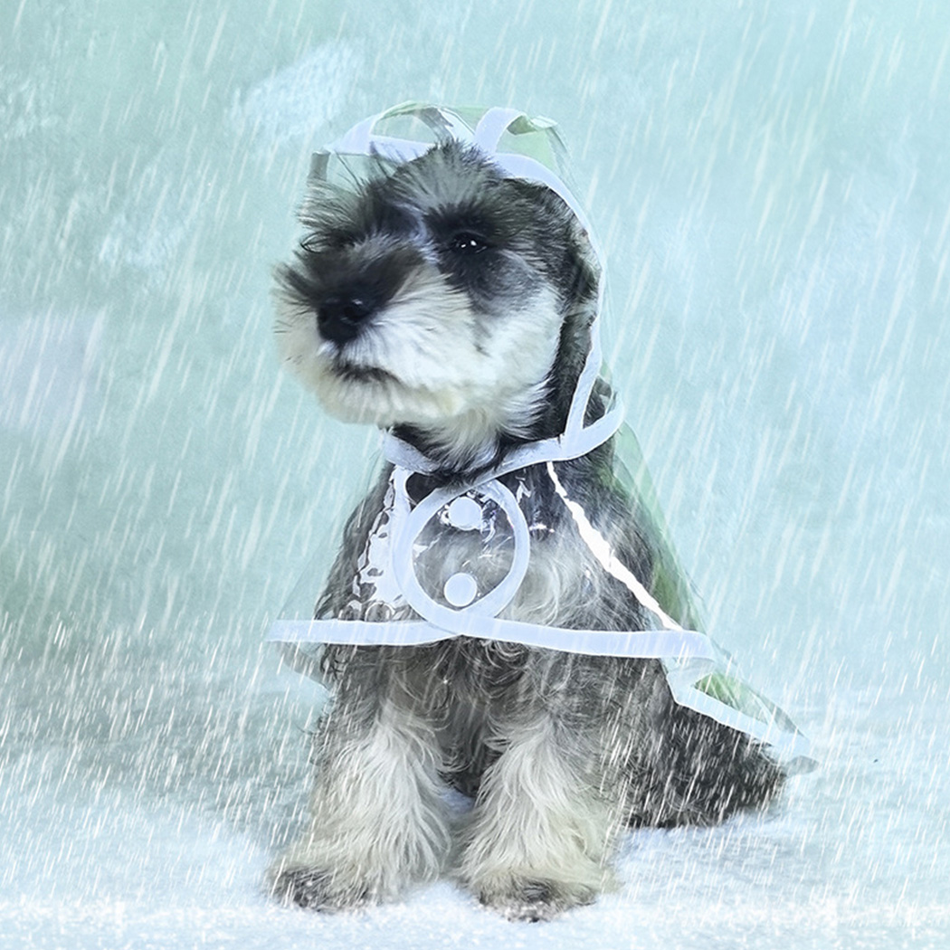 レインコート フード付き かわいい 小型犬 中型犬 着せやすい カッパ