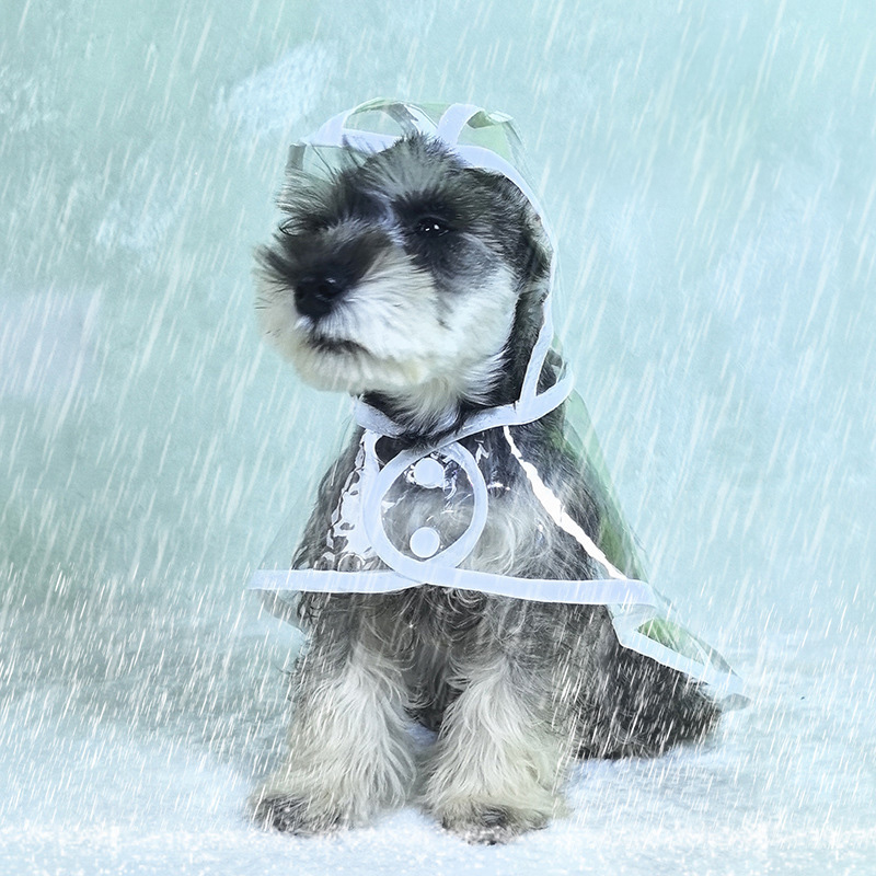 レインコート フード付き かわいい 小型犬 中型犬 着せやすい カッパ