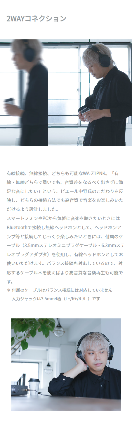 AVIOT WA-Z1PNK ヘッドホン ピエール中野コラボモデル 平面磁気