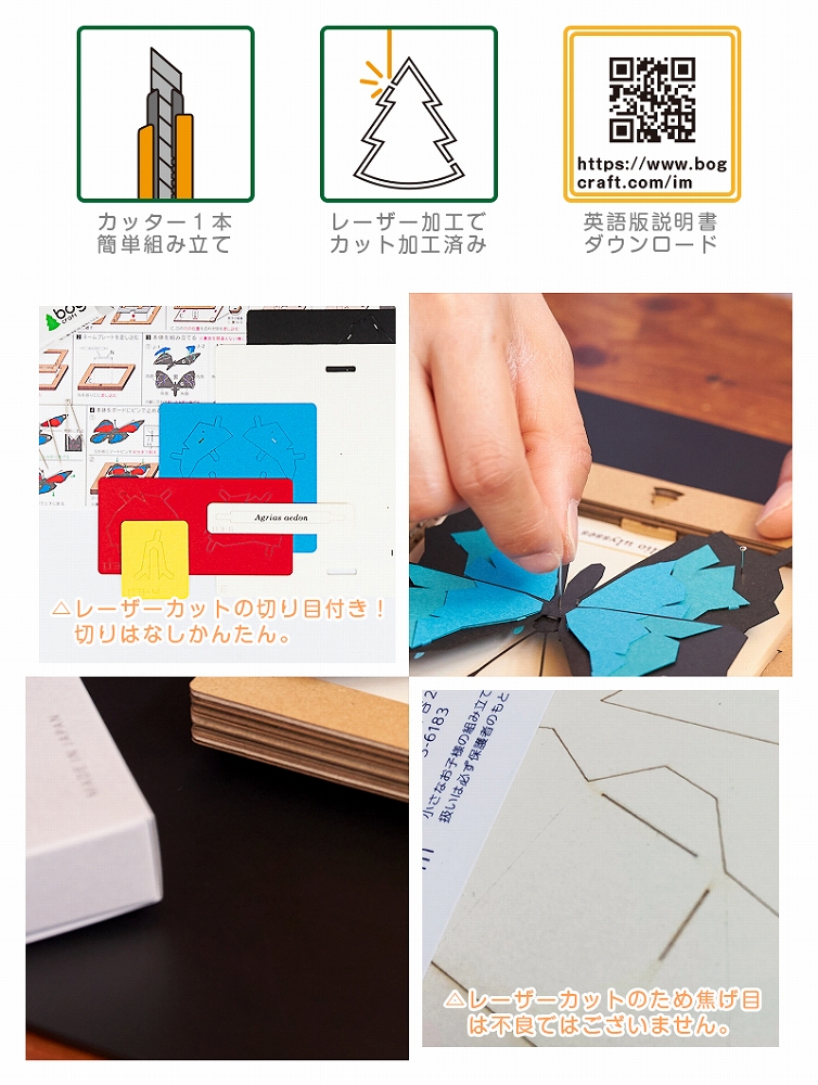 bog craft 組み立てるインテリア 工作 飾り ペーパークラフト SQAR