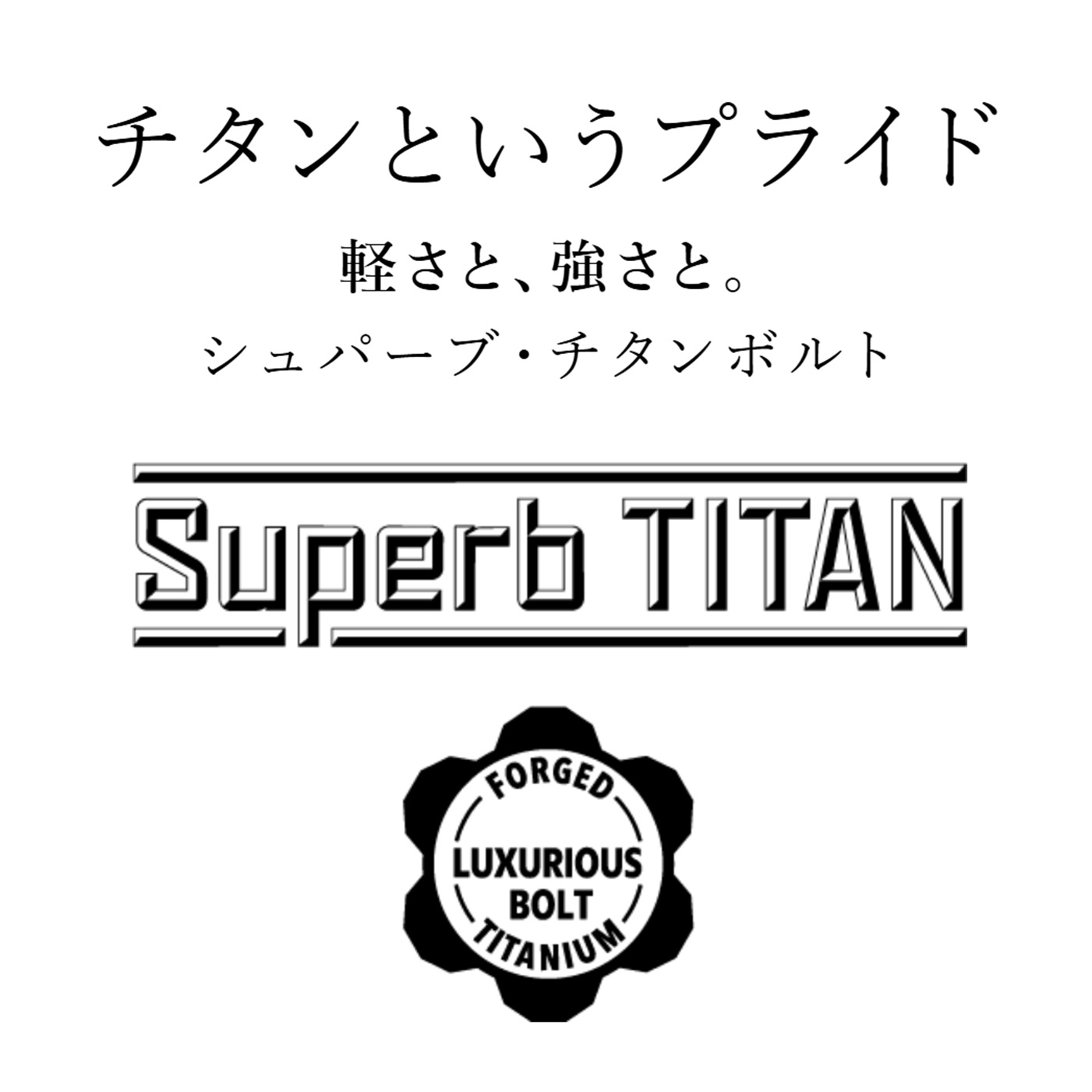 フォルクスワーゲン（Volkswagen） SUP-141545-48/13FG【Superb TITAN