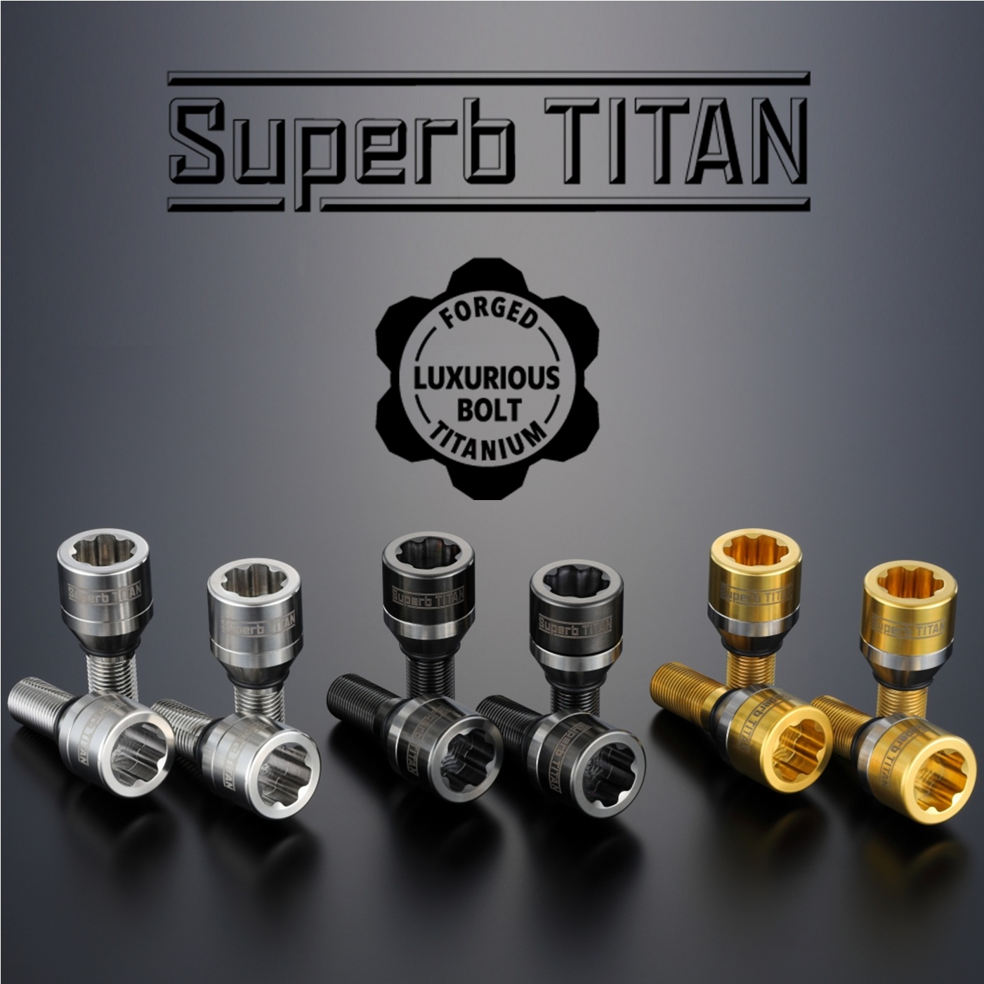 BMW SUP-1412528/13FG【Superb TITAN】シュパーブ チタンボルト M14x1