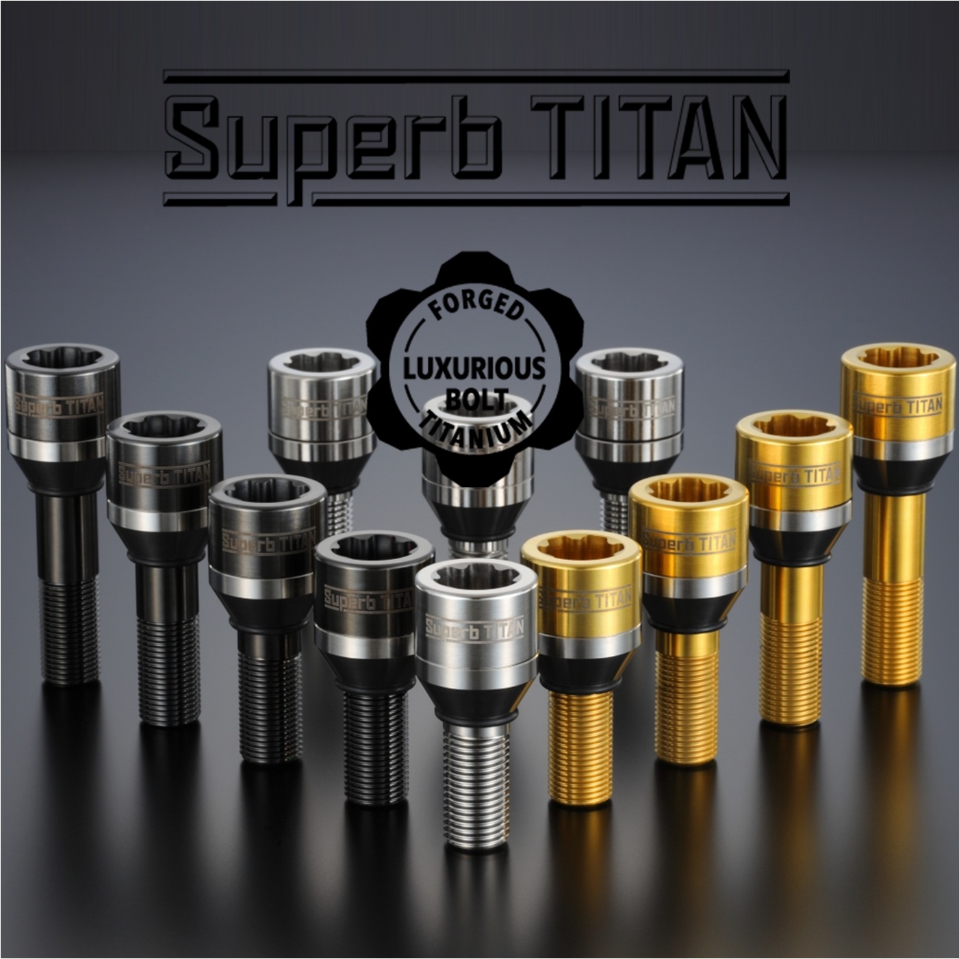 R.V.Wまとめ売り フォルクスワーゲン（Volkswagen） SUP-141545-48/13FG【Superb TITAN