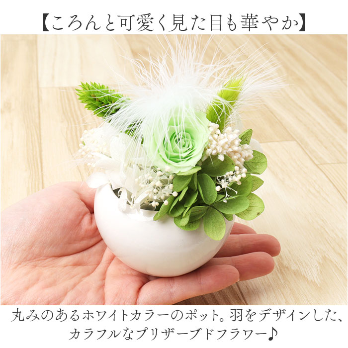 ブリザードフラワ- 通販 フラワーアレンジメン...の詳細画像3