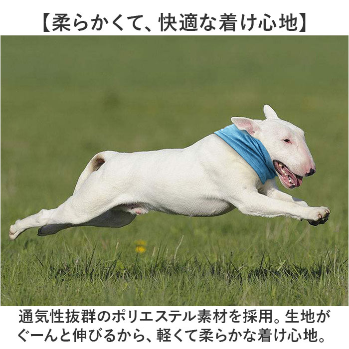 犬 クールネック 通販 保冷剤 ネッククーラー 冷却 バンダナ 首 クールネックリング 接触冷感 暑さ対策 熱中症対策 涼しい 軽量 軽い 犬用 いぬ イヌ｜moccasin｜07