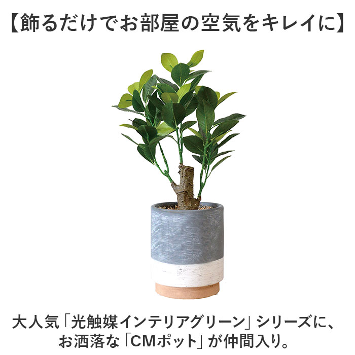 光触媒 フェイクグリーン 通販 観葉植物 人工...の詳細画像1
