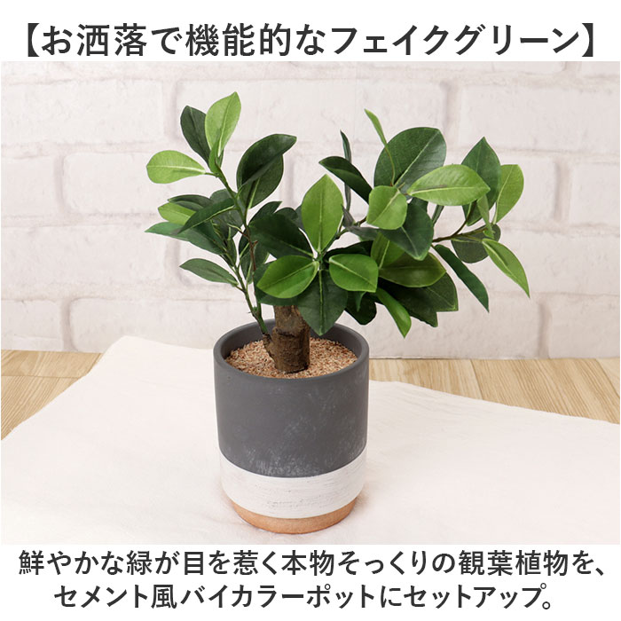光触媒 フェイクグリーン 通販 観葉植物 人工...の詳細画像2