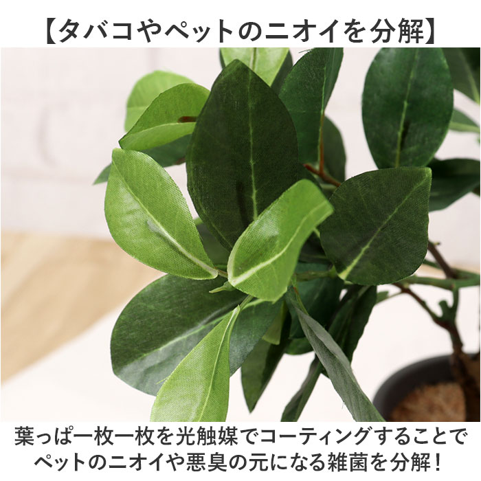 光触媒 フェイクグリーン 通販 観葉植物 人工...の詳細画像4