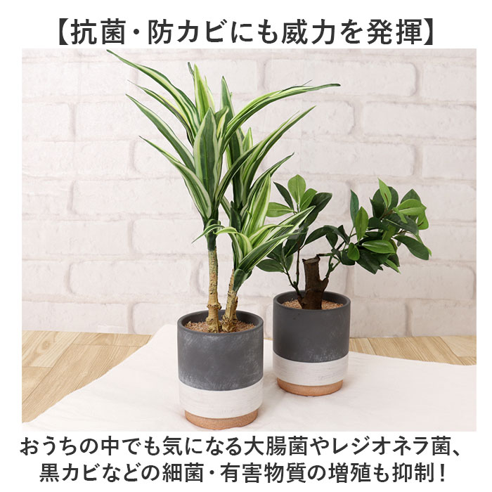 光触媒 フェイクグリーン 通販 観葉植物 人工...の詳細画像5