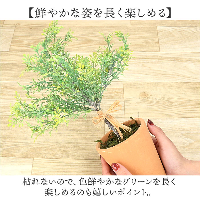 観葉植物 フェイク 大型 通販 フェイクグリーン アーティフィシャルグリーン インテリアグリーン 人工観葉植物 大きめ 鉢植え ポット 玄関 リビング｜moccasin｜05