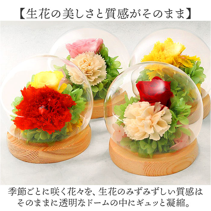 ガラスドーム インテリア アレンジメント 通販...の詳細画像3
