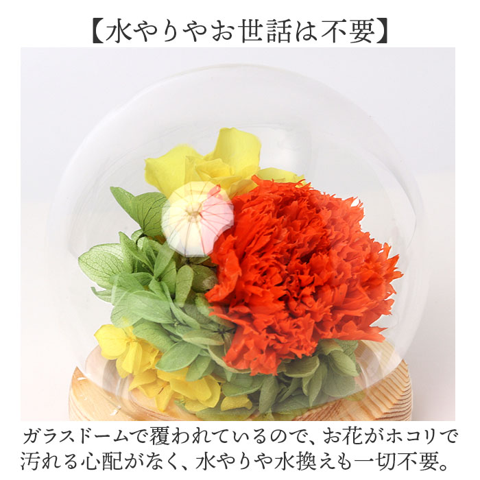 ガラスドーム インテリア アレンジメント 通販...の詳細画像4
