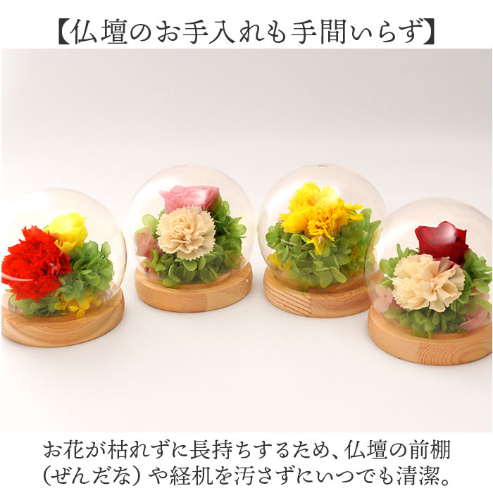 ガラスドーム インテリア アレンジメント 通販...の詳細画像5