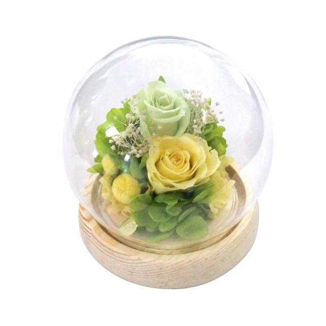 プリザーブドフラワー ガラスドーム 通販 フラワーアレンジメント