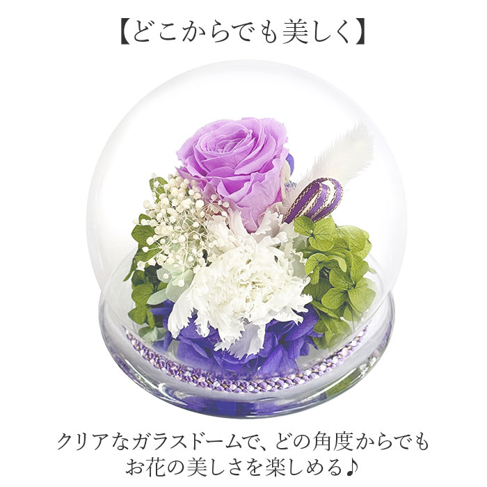 プリザーブド フラワー 仏花 ガラスドーム 通...の詳細画像3