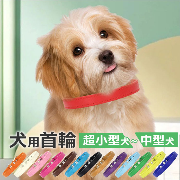 犬 首輪 皮の人気商品・通販・価格比較 - 価格.com