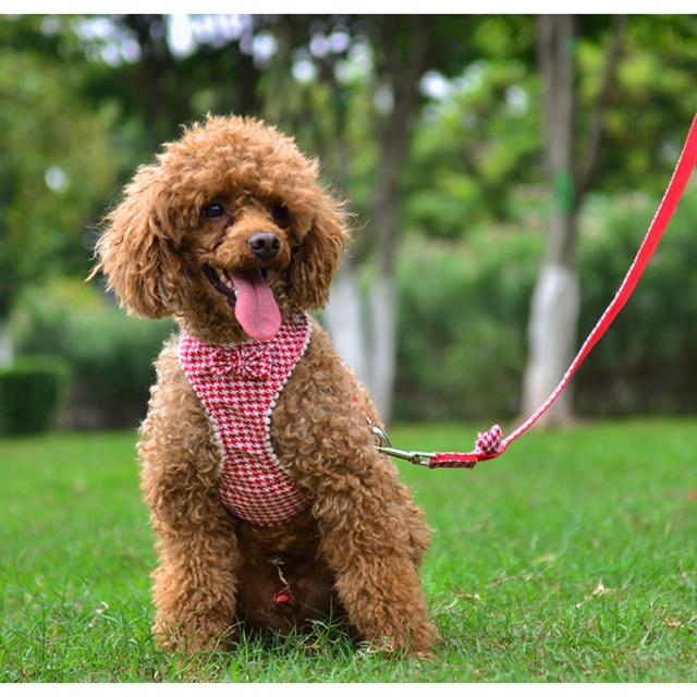 犬 ハーネス 簡単装着 おしゃれ 通販 千鳥柄 リードセット リボン 通気性 メッシュ素材 ポリエステル 小型犬 中型犬 犬 犬用品 ペットグッズ  ドッグ :pet055:BACKYARD FAMILY インテリアタウン - 通販 - Yahoo!ショッピング