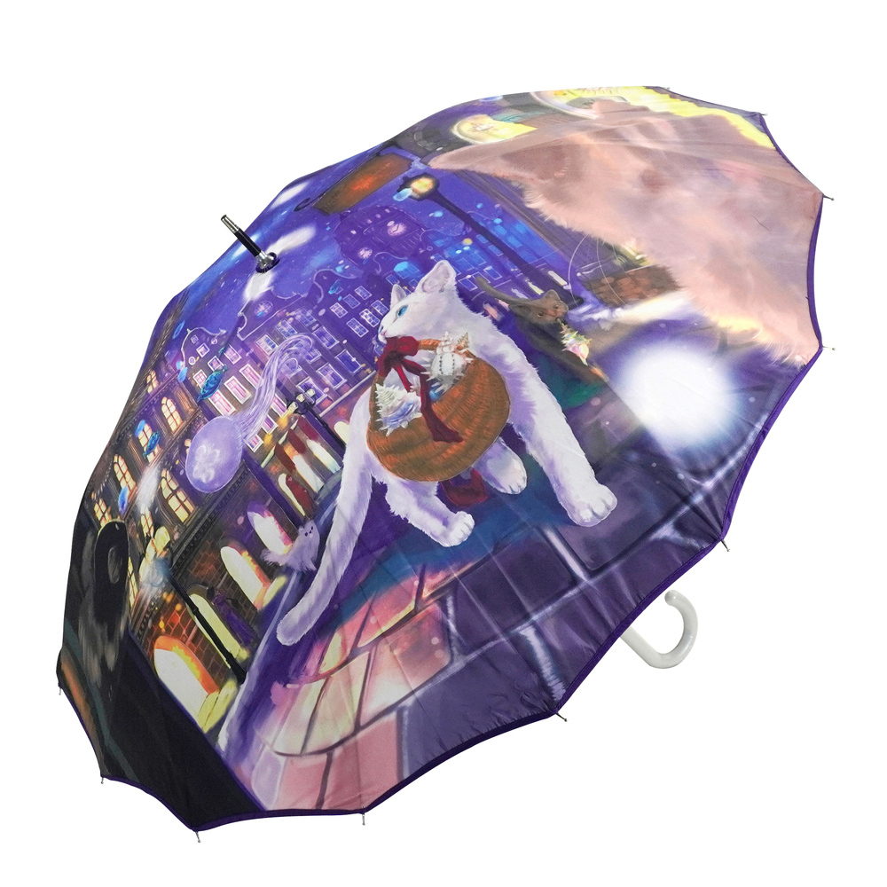 【週末セール】　レクサス非売品 長傘2本セットメンズ レディース 紺色ピンク色 傘 通販傘 レディース ジャンプ 長傘 可愛い 丈夫 耐風 グラス