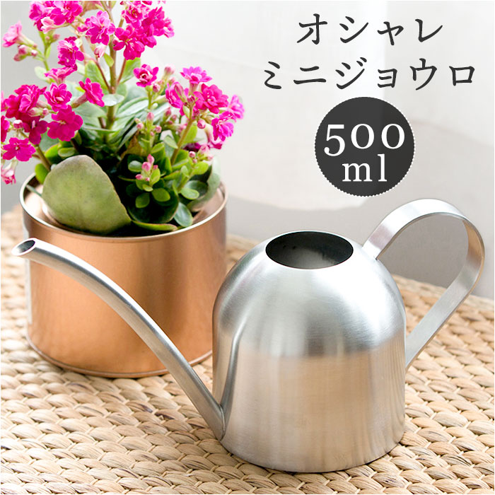 傤   ʔ WE W[ @JI  XeX 500ml  ی` RpNg ^ v 킢 Vv _  U