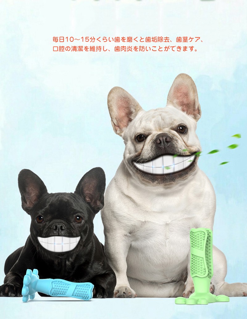 即納 犬 歯磨き おもちゃ 犬歯ブラシ ペット用 歯ブラシ 子犬かむ玩具 犬用歯ブラシ 犬用 デンタルケア用品 ペット口腔ケア用 犬猫用歯磨き 歯磨き 口臭予防 Ls0177 Modanic 通販 Yahoo ショッピング