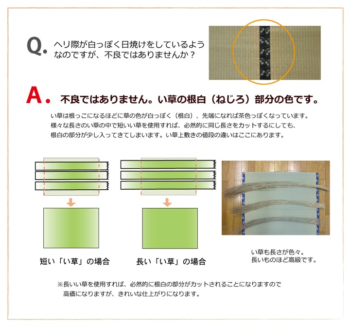 日本製い草100％使用カーペット 丈夫で長く使える リバーシブル 抗菌防臭【団地間3畳（約170×255cm）】 |  | 12