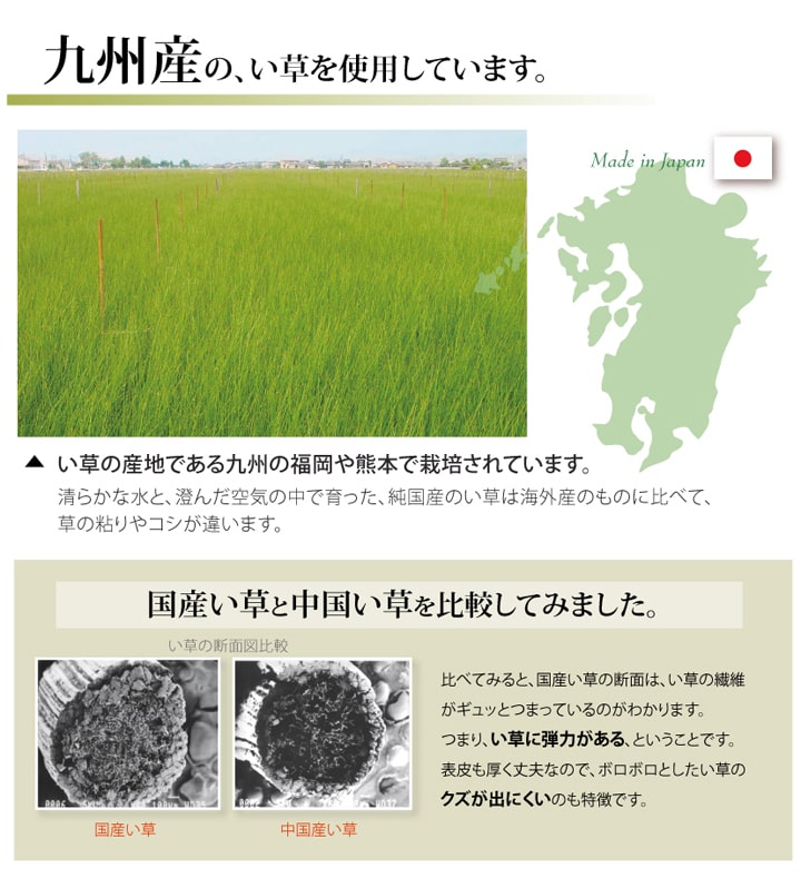日本製い草100％使用カーペット 丈夫で長く使える リバーシブル 抗菌防臭【団地間3畳（約170×255cm）】 |  | 04