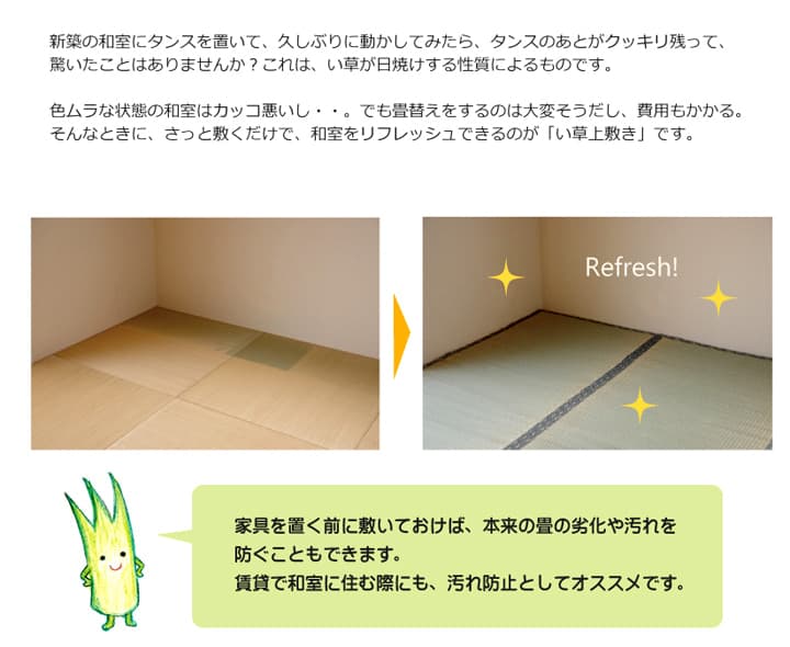 日本製い草100％使用カーペット 丈夫で長く使える リバーシブル 抗菌防臭【本間1畳（約95×191cm）】 |  | 02