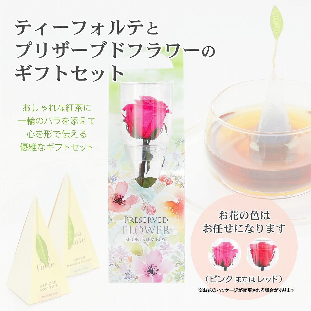 お花と紅茶のギフトセット ティーフォルテ ティーテイスティング