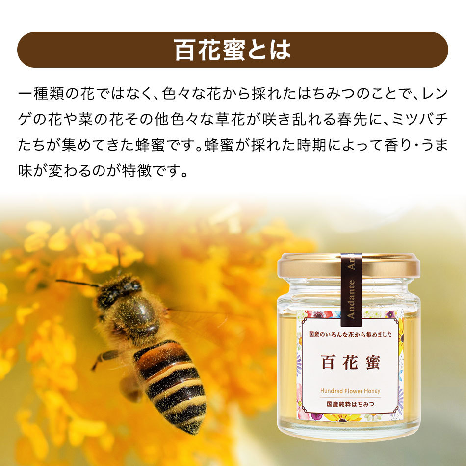 Andante 国産 百花蜜 100g