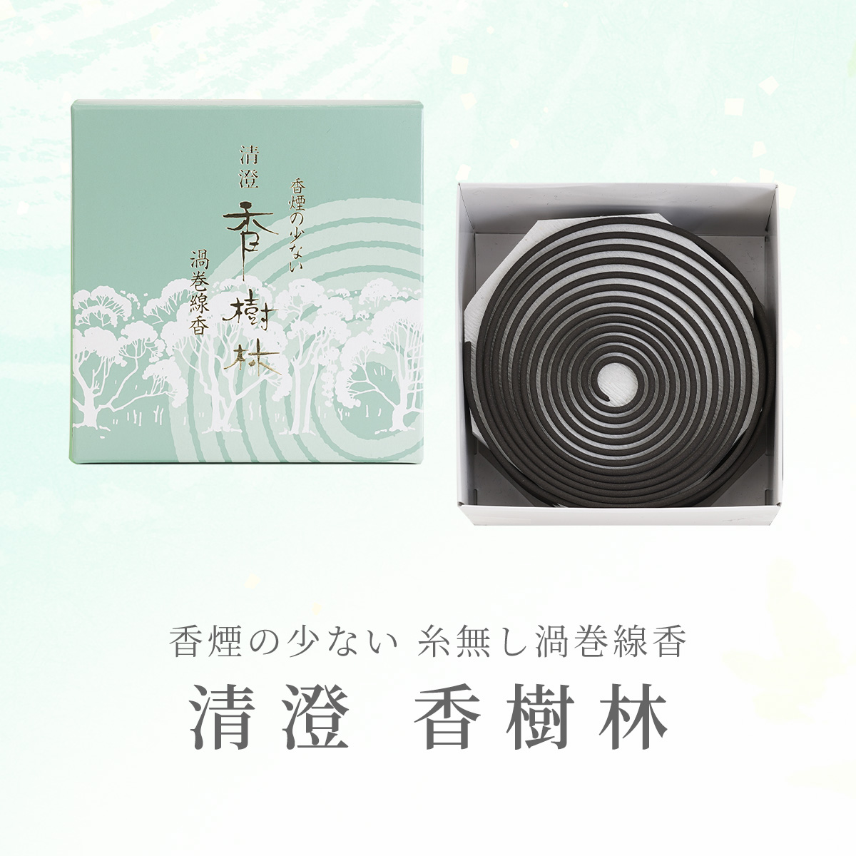 清澄　香樹林