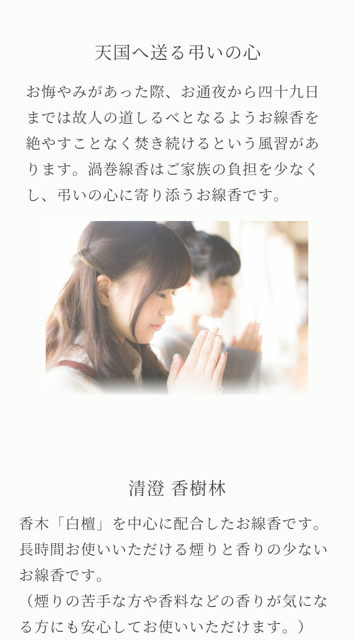 清澄　香樹林