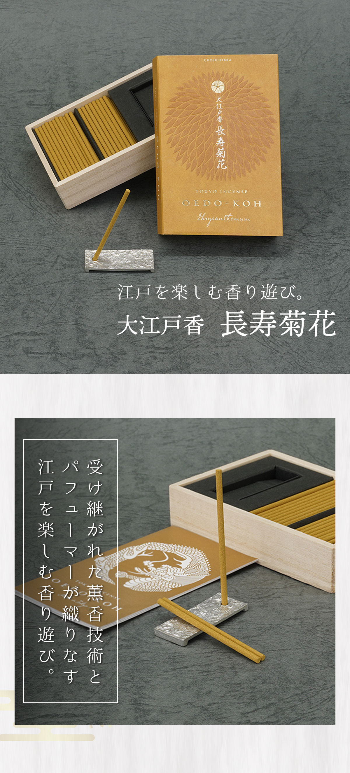 大江戸香　長寿菊花