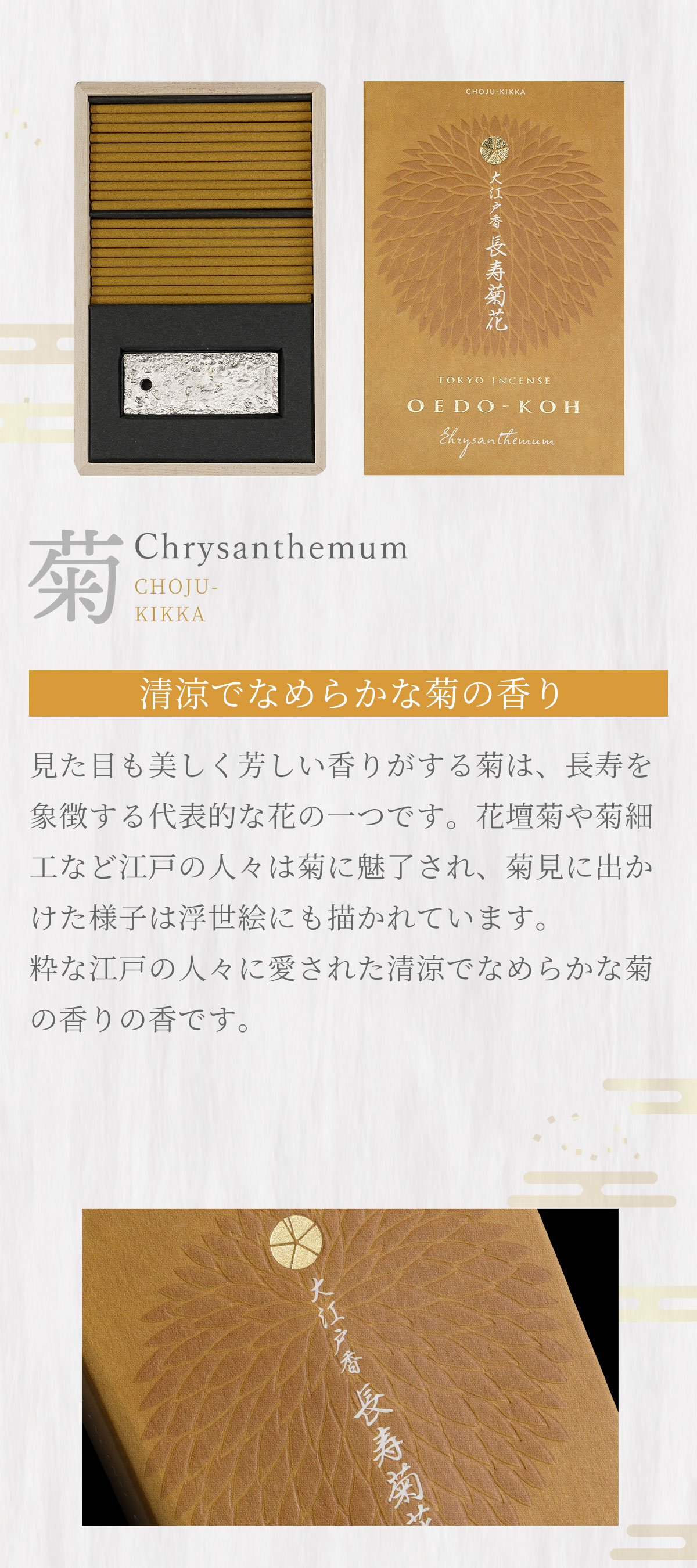 大江戸香　長寿菊花