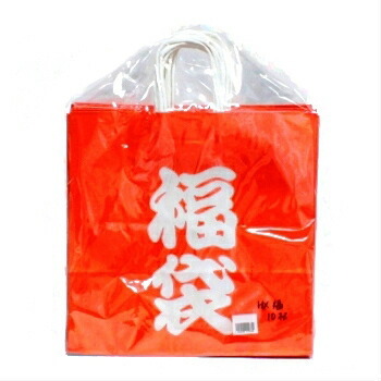 パックタケヤマ 手提袋 HX 福袋 10枚 ラッピングバッグ 紙袋 定番 業務