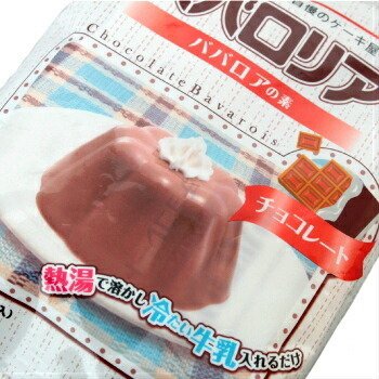 伊那 ババロリア チョコレート ３７５ｇ