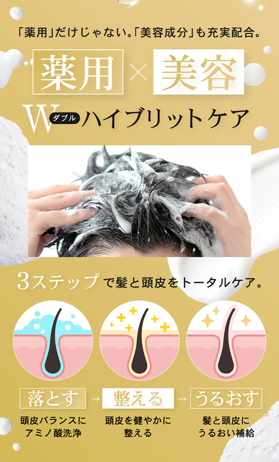 modest 2本セット 脂漏性 フケ かゆみ べたつき 頭皮臭 対策 リバラン