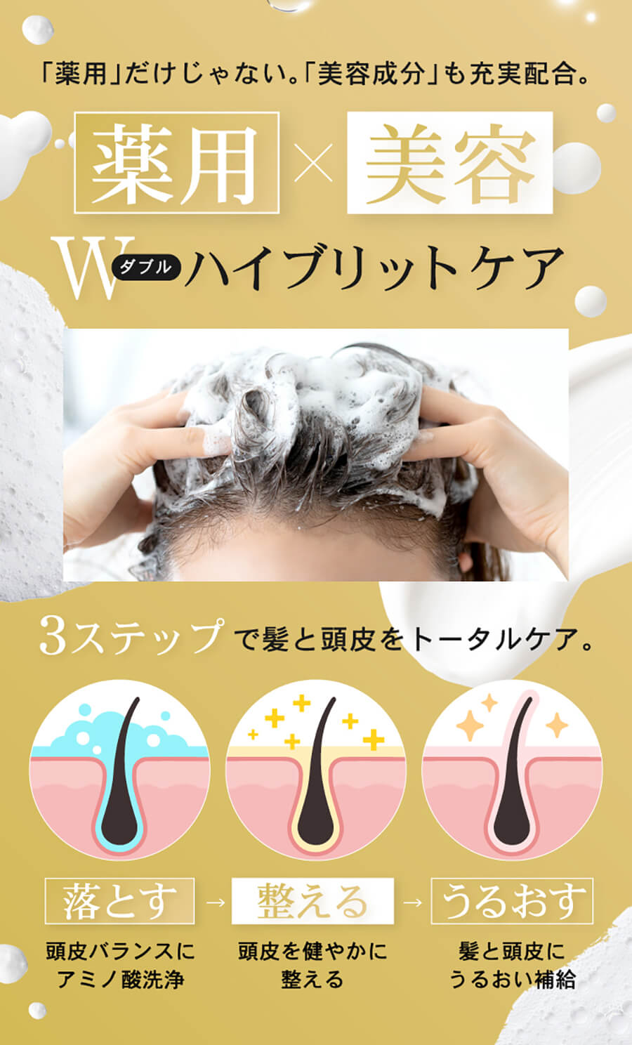 modest フケ かゆみ 脂漏性 ノンシリコン アミノ酸 リバラン スカルプ